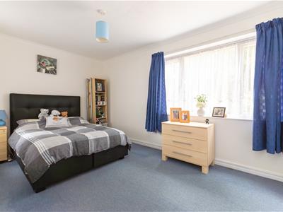 Picture 13